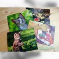 Теперь в России есть эко-открытки, которые радуют и людей, и природу!