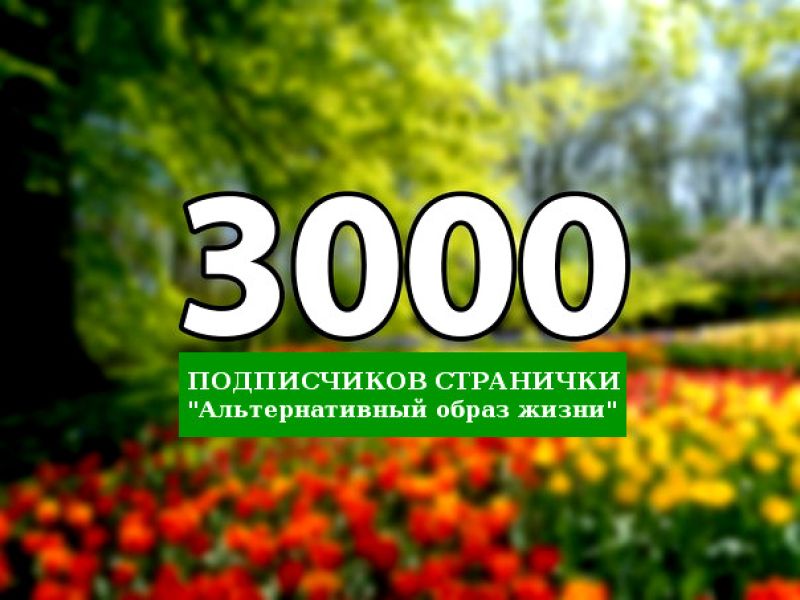 Изображено число 3000 на ярком фоне цветов.