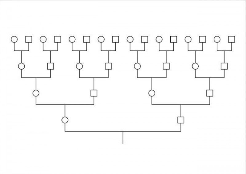 Как рисовать генограмму семьи
